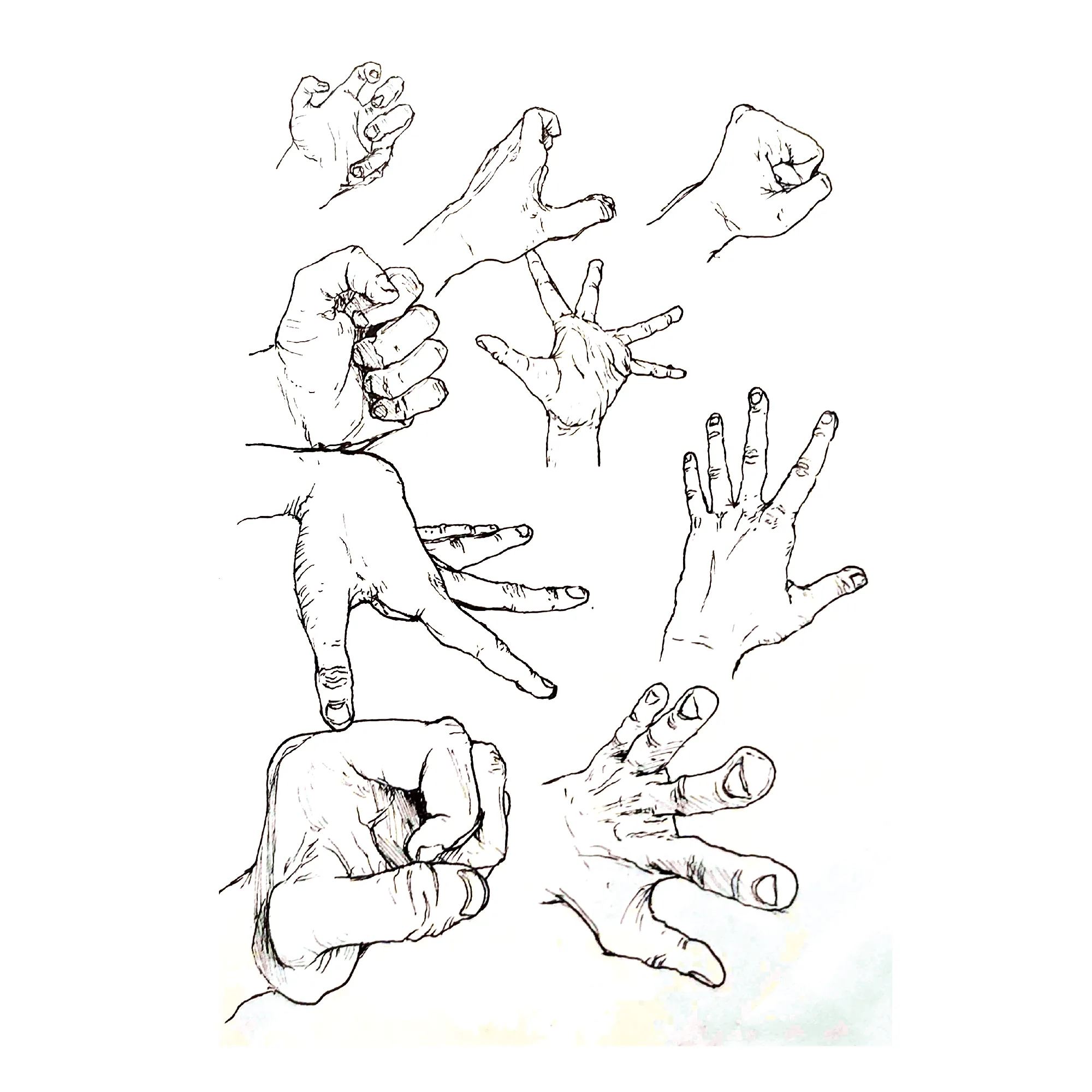 Illustration